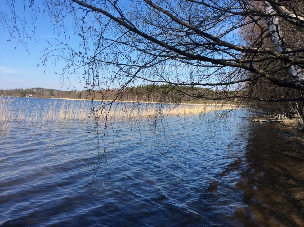 Selvitysalueen Lumo-kohteet: 1. Myllymäen perinnemaisema, 2. Siperian ikimännyt, 3. Siperian mänty, 4. Kuohunkivet, 5.