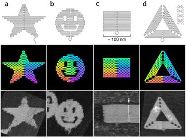 12 Figure 8: Single-layer DNA origami shapes: (a) star (b) smiley face (c) rectangle (d) triangle. Top row presents the scaffold routing.