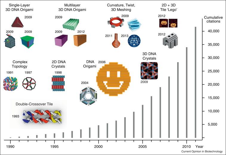 1 Introduction DNA nanotechnology is a rapidly growing research field whose aim is to construct nanoscale structures and functionalized materials from DNA.