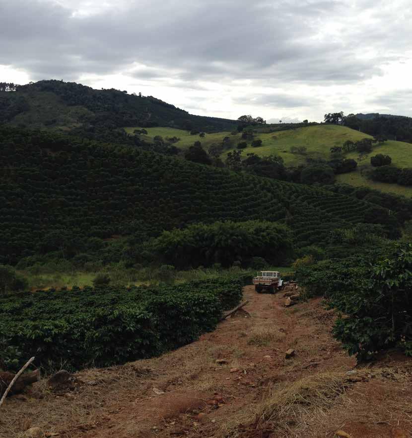 Erikoiskahvi Erikoiskahvi Kenya AA Soveltuvuus: Suodatinkahvi, Presso, Chemex Santana Soveltuvuus: Suodatinkahvi, Presso, Chemex MAA Kenia. ALUEET Mount Kenyan rinteet.