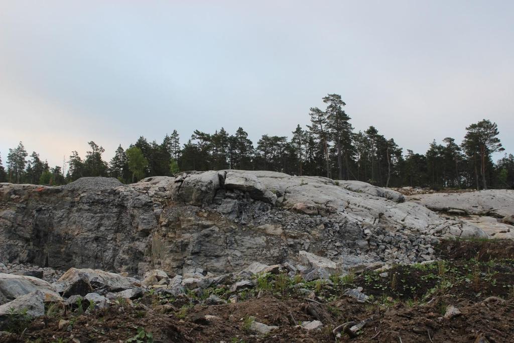 Roukkulin luontoselvitys Mynämäki 5.9.