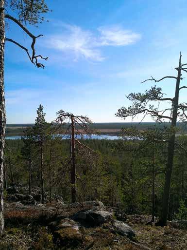 klo 15-17 KIINTEISTÖHUOLTO RAKENTAMISPALVELU SIIVOUSPALVELU Kahvitarjoilu Ilmoituksen maksaja: Vesa Riekin tukiryhmä, kuva Ohtavaarasta Tarjous mak sutta Talonpojantie 2, 93400 TAIVALKOSKI, www.