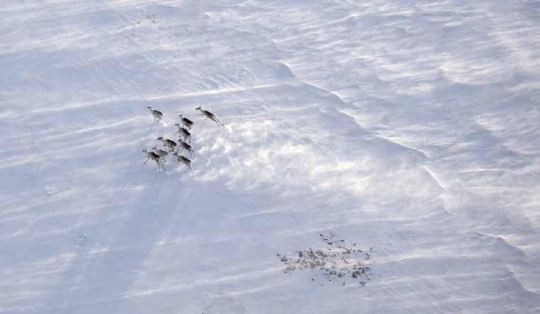 TEKSTI: TERHI HUOVARI En ollut varautunut siihen tunnereaktioon, joka minut yllätti, kun aloin lukea luomiskertomuksia omalla äidinkielelläni, sanoo arviointiryhmän jäsen Helga West.