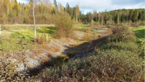 Laskeutusaltaat (kuivat) Viivyttävät vesiä sadetapahtuman