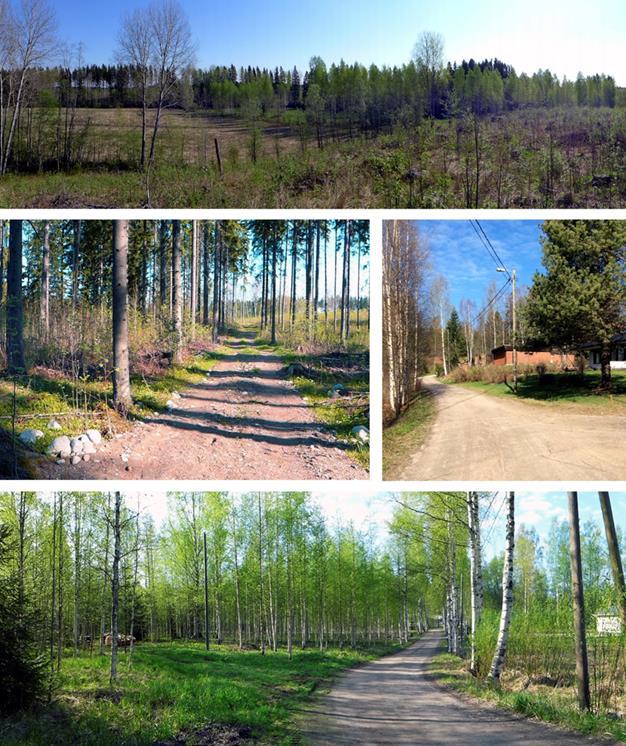23 KUVA 21. Selvitysalueen näkymiä. 5.3 Liittyminen ympäröivään maisemaan Alue on metsävaltaista ja liittyy ympäröivään luonnonmaisemaan hyvin.