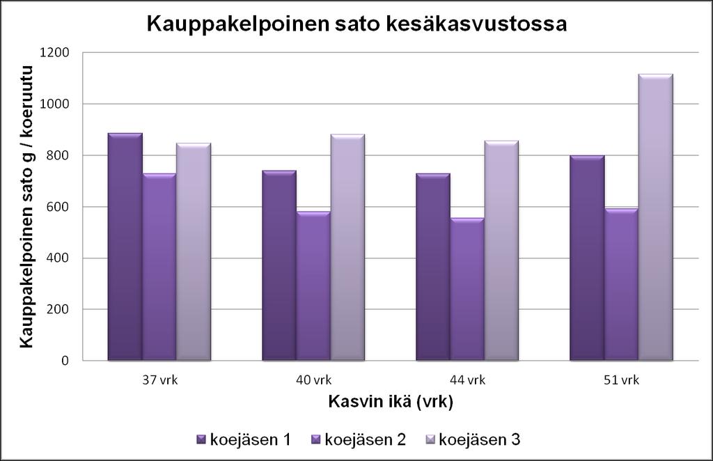 73 korjuukerralla. Koejäsenestä 3 saatiin suunnilleen yhtä paljon kauppakelpoista satoa kolmella ensimmäisellä sadonkorjuukerralla.