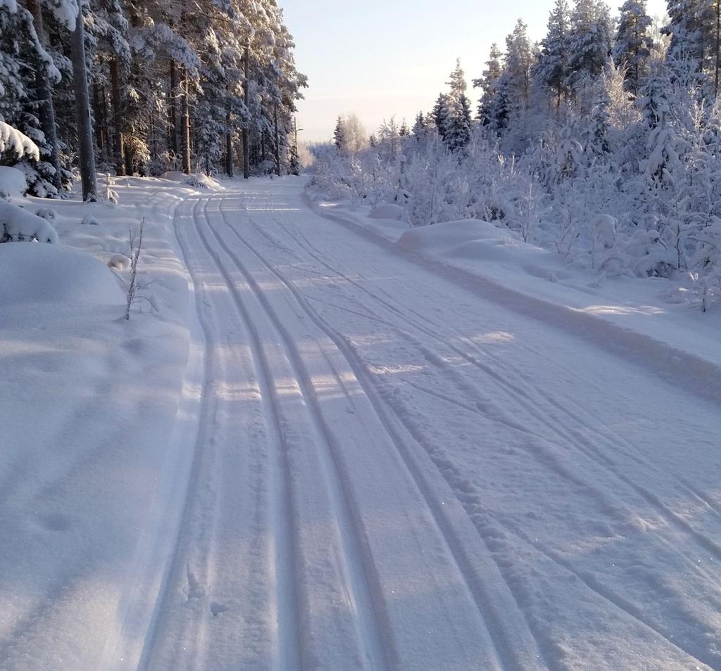Julkinen tiedote sanomat 3/2019 www.siikajoki.