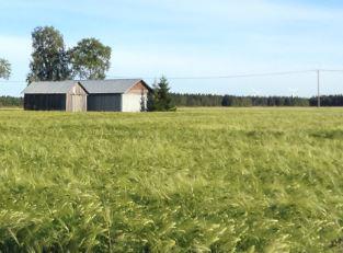 OMAISOIVAN TOIMINTAA KEVÄÄLLÄ 2019 To 21.3. klo 13 Päiväkahvit Irma ja Heino Pietarilalla (Tölvääntie 54, Ruukki, Tuomiojantieltä samasta liittymästä kuin vastaanottokeskus.