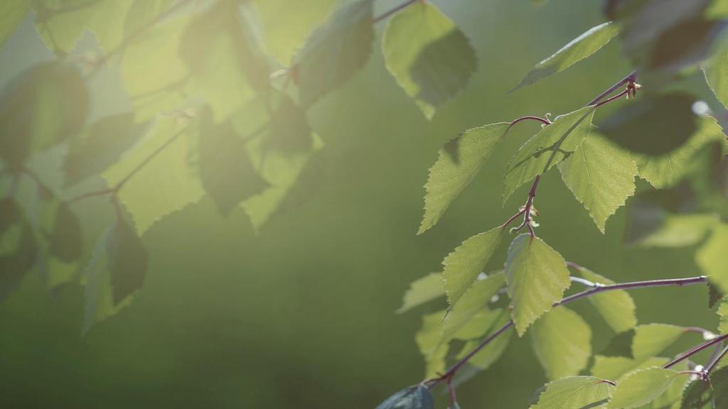 08/06/2017 6 BIOKAASU 100 % SUOMALAISTA ENERGIAA Valmistetaan täysin