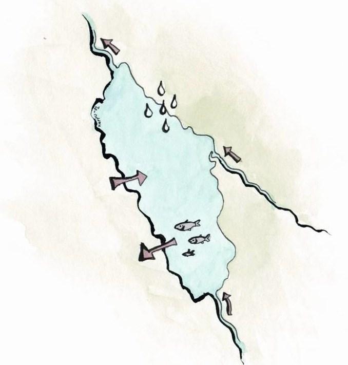 Kalastus ja Säkylän Pyhäjärven fosforikuormitus Sarvala & Jumppanen 1988 Aqua Fenn., Ventelä ym. 27 Lake Reserv. Manag., Tarvainen ym. 21 Verh.Internat.Ver.Limnol. 3 1653 1656.