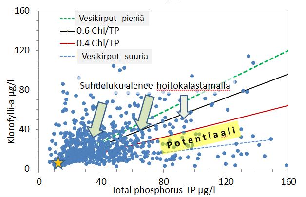 Enemmän fosforia enemmän leviä Klorofylli-a/kokonaisfosfori-suhde (Chl/TP) Mazumder 1994 CJAFS Sarvala et al. 2 Verh.int.Ver.Limnol Paljon kaloja (kpl tai kg/ha) korkea Chl-a/TP suhde (>.