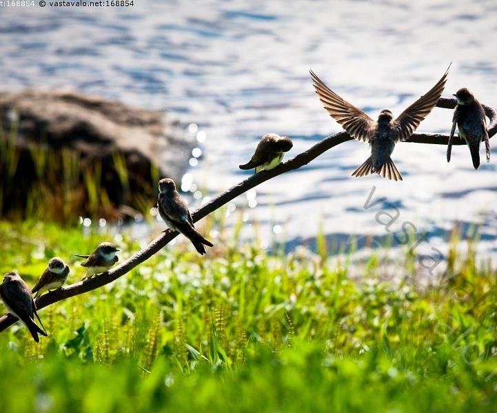 HaminaKotkan satamassa liikenne kasvoi voimakkaasti edelliseen vuoteen verrattuna vienti kasvanut viennin kasvu vuoden lopulla hieman