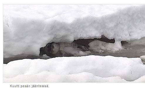Suuret ratkaisut on pääosin tehty, mm. N2 alueet ja kalastusrajoitusasetus 216.