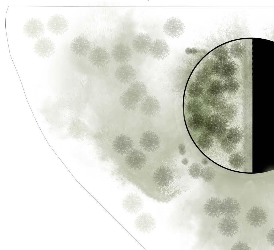 A A