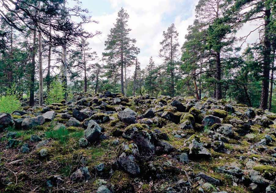 Uudellamaalla on säilynyt noin 150 pronssikautista hautaröykkiötä. Siuntion Krejansbergetillä (kuvassa) niitä on kaikkiaan viisi.