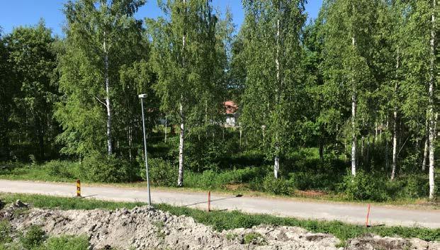 Tälle alueelle osoitetaan aluevaraus mahdollista hulevesien viivytysallasta varten.