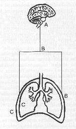 Ventilaatiovaje: syitä A.