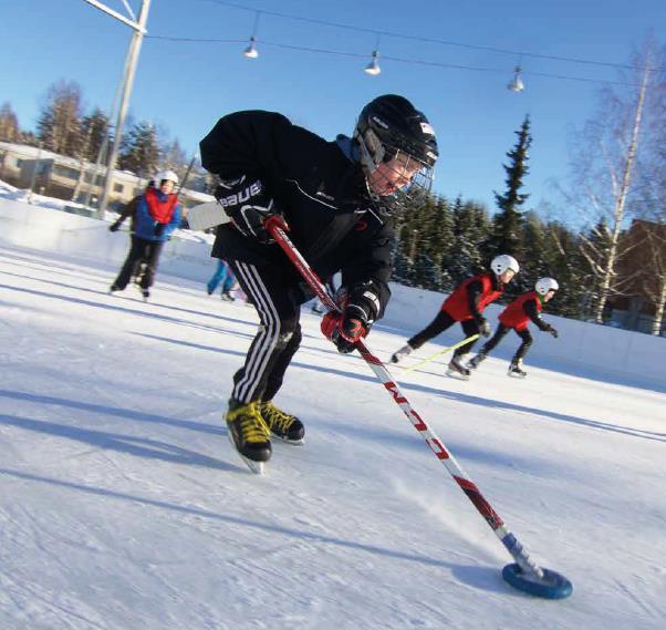 Harrastamismahdollisuuksien ja yhteistyön