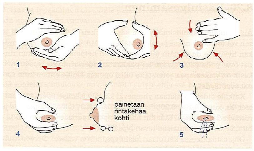 Asiakasohje 5 (5) Kuva: