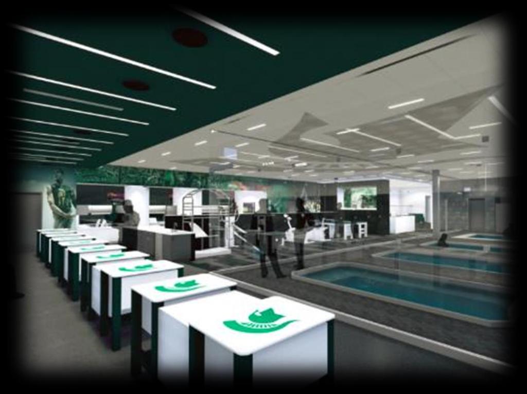 Hippos2020 Training room -konsepti 13 Konsepti, jossa yhdessä tilassa optimoidaan urheilijan palautumisja valmistautumisketjua Lääkärin, fysioterapeutin,
