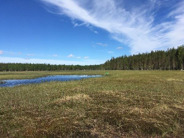 Kasvihuonekaasupäästöjen vähentäminen -