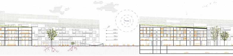 Ehdotuksesta välittyy syvällinen ymmärrys siitä, miten identiteettiä ja kaupunkimaisuutta voidaan luoda. Rakennustyypit eivät kuitenkaan ole inspiroivia malleja tulevaisuuden Aviapolikselle.