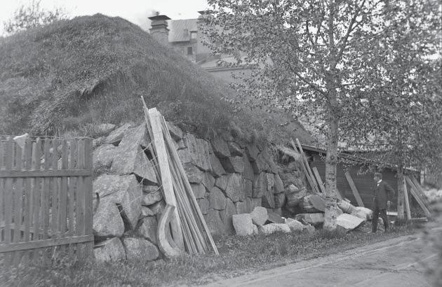 Frankenhaeuser 1907, Museovirasto HK10000:5118.