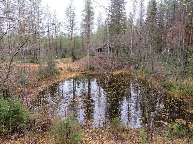 Inventointimenetelmät Pintahavainnointi, valokuvaus Kuvaus: Kesonmäen eteläpuolella metsätien itäpuolella on kämppä, josta on jäljellä kaksi muuta rakennusta, rakennukst sijaitsevat kaarron