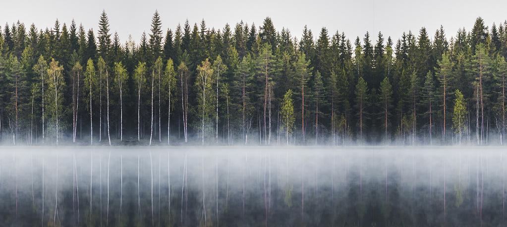 Vastuullisuusohjelman eteneminen Tutustu jokaiseen sataan tekoon tarkemmin Paras paikka elää -sivuilla.