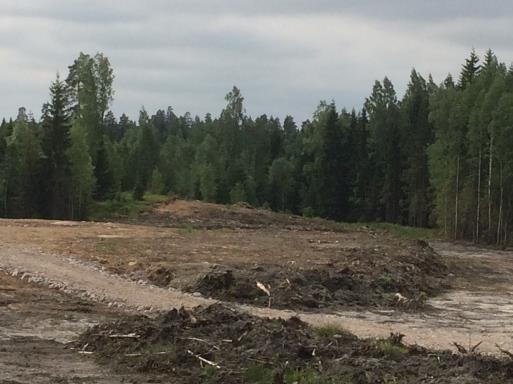 Yhteistyö kunnan kanssa (kunnissa erilaisia käytänteitä, selvitettävä kunnan edustajan kanssa, miten asiat hoidetaan) Yhteistyö kunnan ympäristötoimen kanssa/