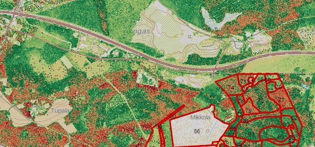 Metsä-, energia- ja ympäristöalojen yhteistyössä kehittämät ja Tapion ylläpitämät Metsänhoidon suositukset ovat kansainvälisestikin ainutlaatuinen tapa varmistaa metsätalouden kestävyys.