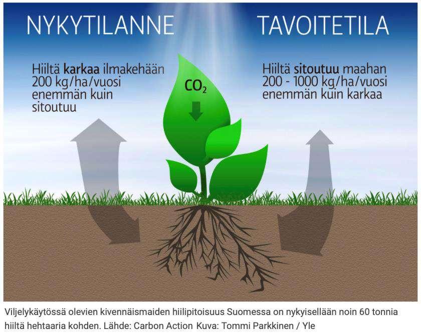 Carbon Action -hankkeen tavoite on kääntää hiilen kulkusuunta kivennäismaapelloilla niin, että vapautumisen sijaan hiiltä saataisiin sitoutumaan maaperään. Turvemailla tavoite on vähentää päästöjä.