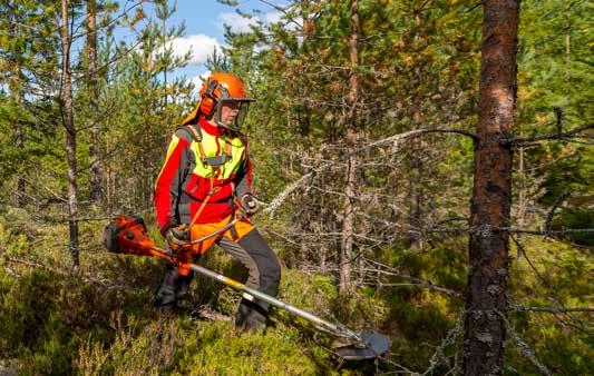 Koko metsän elinkierron aikana hoidettu taimikko tuottaa 5000 enemmän hehtaarilta kuin hoitamaton. HARVENTAMALLA TERVE JA TUOTTAVA METSÄ Tunnetko sanonnan metsä kaipaa kirvestä?