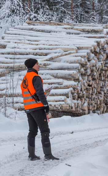 PUUN MYYNNISSÄ VERTAILU KANNATTAA AINA Puukauppa vaikuttaa merkittävästi metsätaloutesi kannattavuuteen.