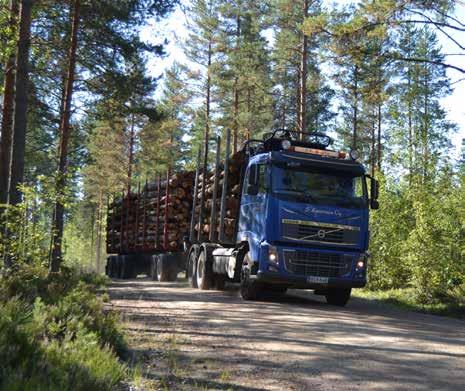 Kesäkorjuukelpoisessa metsässä puun hintaero talvikorjuukelpoiseen on jopa 4 6 /m 3. Tien perusparannus nostaa pitkällä aikavälillä kantohintoja tien vaikutusalueella keskimäärin 1 1,5 /m³.