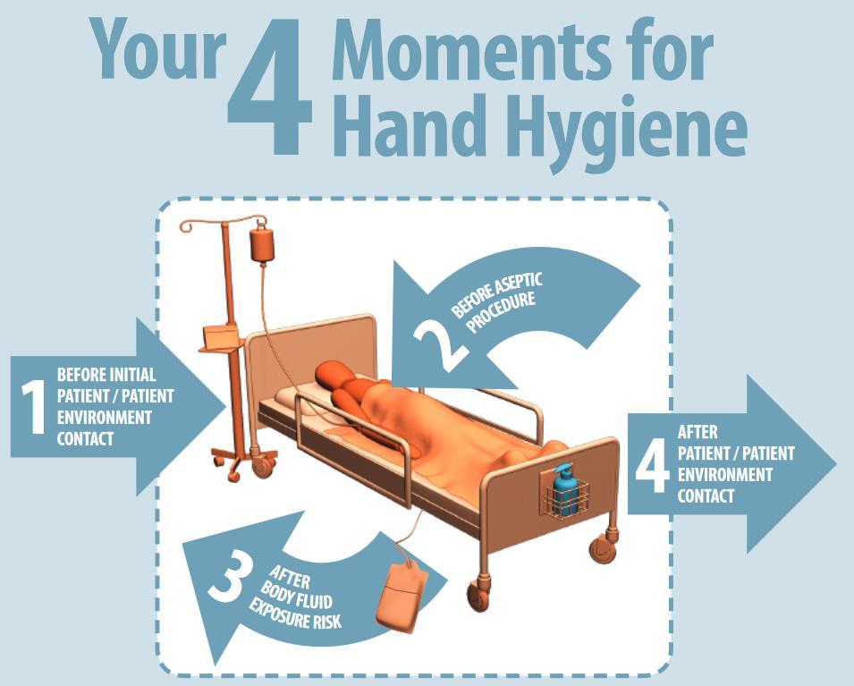 hygiene 2007