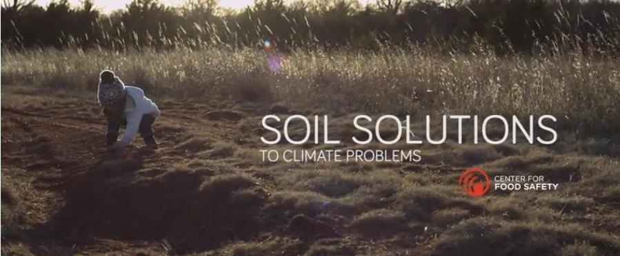 Soil solution to climate problems: https://www.youtube.com/watch?