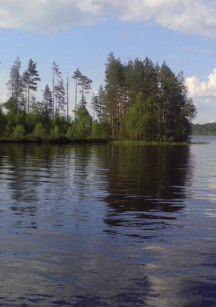 LIITON JÄSENYYS JÄSENEKSI LIITTYMINEN Kirkon alat ry:n liitytään oman alan jäsenyhdistysten kautta.