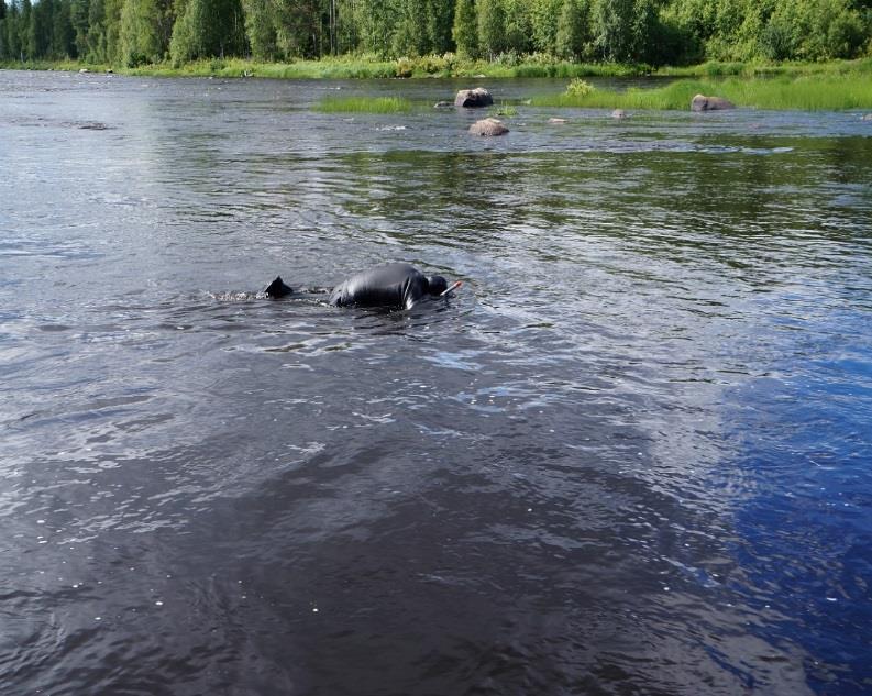 - Kartoitukset heinä-elokuussa 2015 - Yhteensä noin 12 000 m,