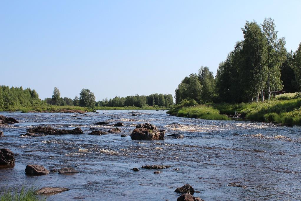 Kunnostetut kosket 2016-2017 Saarikoski Mötyskoski Kalmakoski Kalliokoski