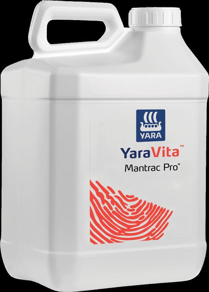 4% w/w) Tuotteen ominaisuudet Markkinoiden väkevin mangaanilannoite YaraVita Mantrac Pro