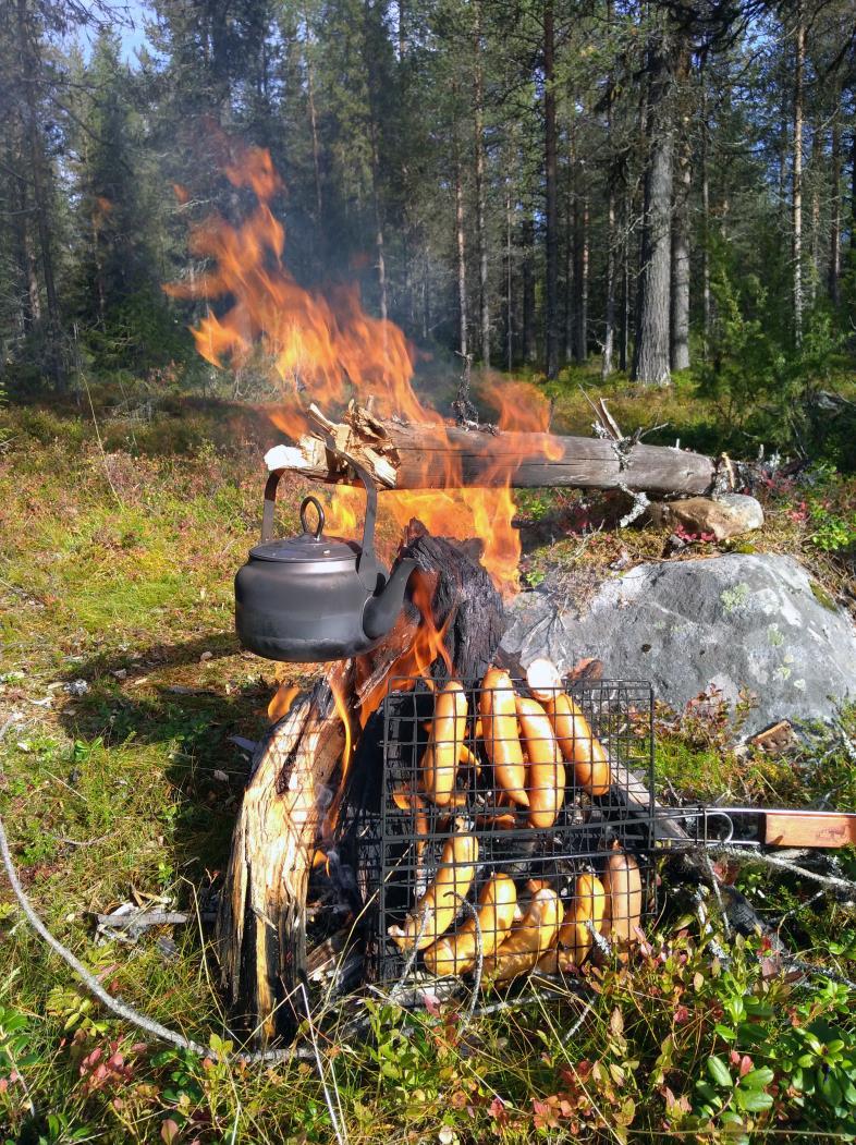 KANSAINVÄLISET HIRVENHAUKUT