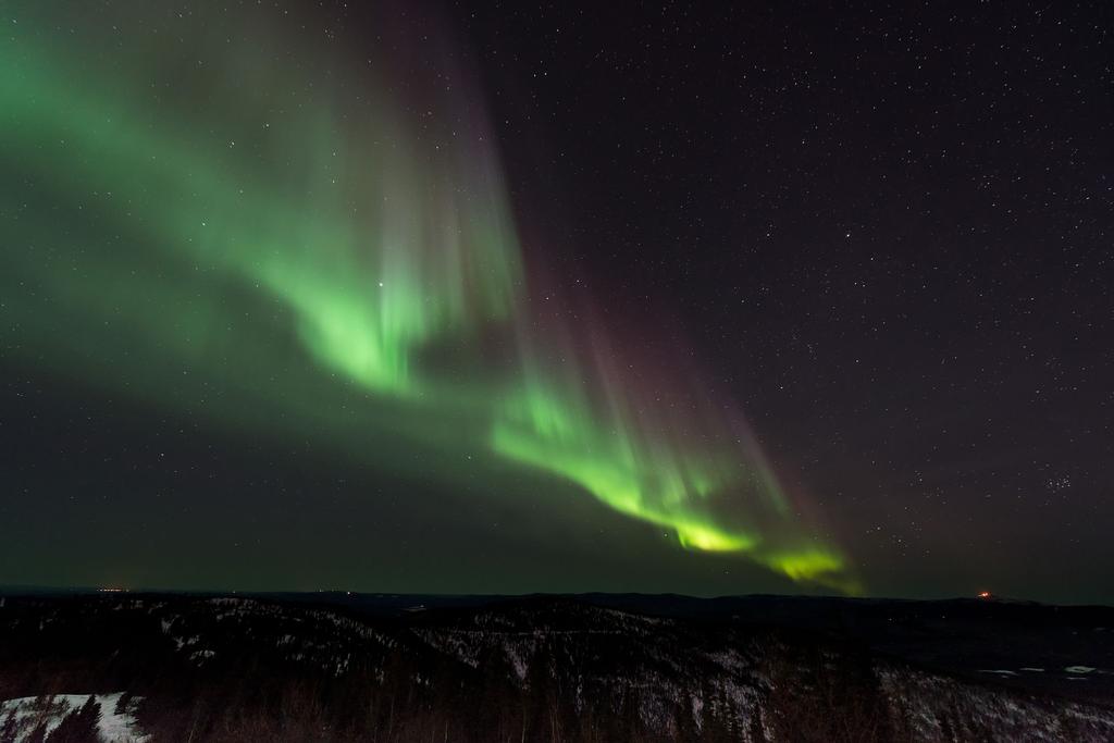 PALAUTE Mikäli AYY