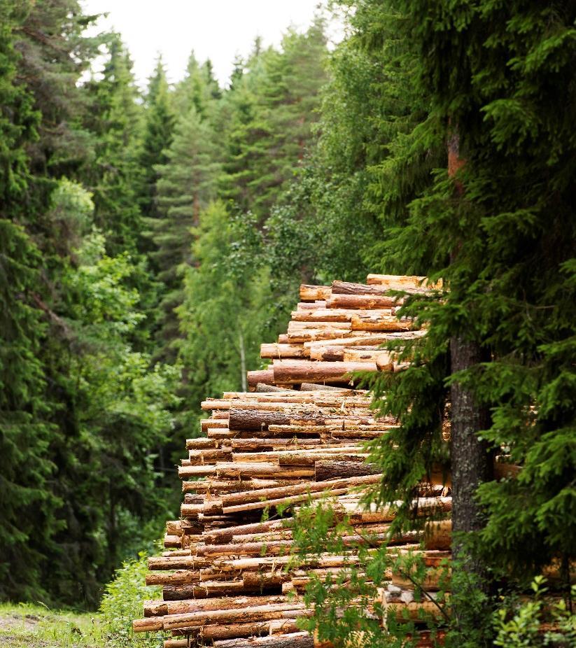 Kestävä puunhankinta Koko toimitusketjun metsästä tehtaalle on toimittava luotettavasti ja kustannustehokkaasti Vaihtoehdon valinnan keskeinen
