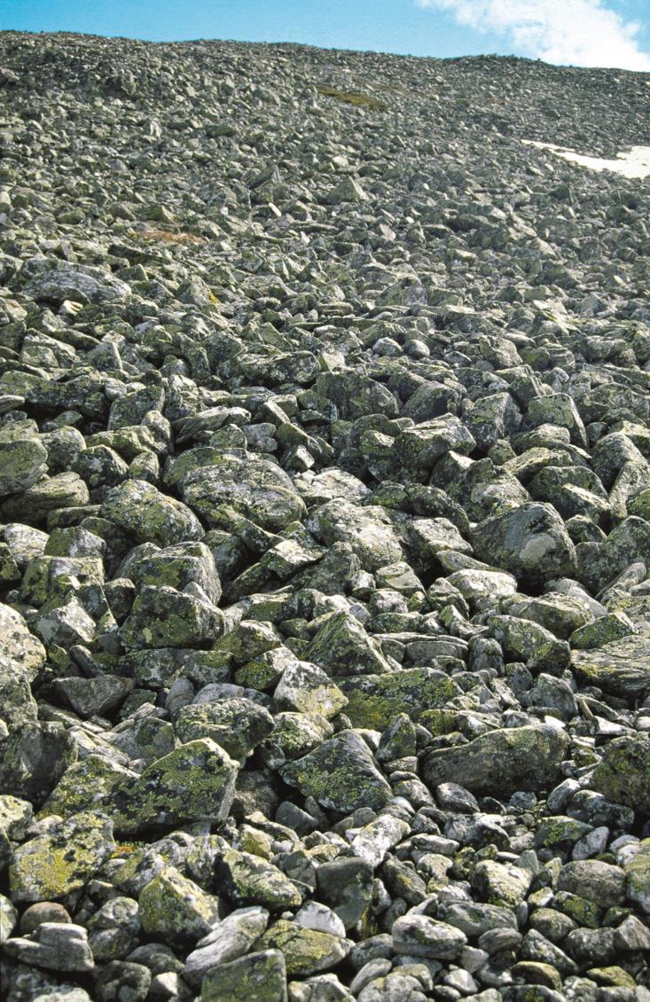 Tunturikalliot ja -kivikot (1/2) 8 kallio- ja kivikkoluontotyyppiä ja 2 luontotyyppiyhdistelmää karut ja keskiravinteiset, kalkki, serpentiini, kiisu laakeat kalliot, jyrkänteet, kivikot, vyörysorat