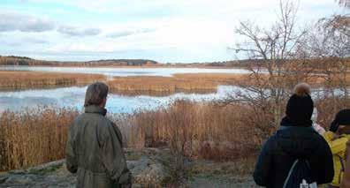 Suojelualueen arvokkain osa, noin viiden hehtaarin kokoinen tammi- ja metsälehmuslehto, kuuluu valtakunnalliseen lehtojensuojeluohjelmaan.