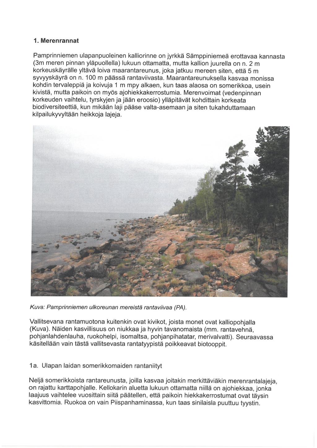 1. Merenrannat Pamprinniemen ulapanpuoleinen kalliorinne on jyrkkä Sämppiniemeä erottavaa kannasta (3m meren pinnan yläpuollella) lukuun ottamatta, mutta kallion juurella on n.