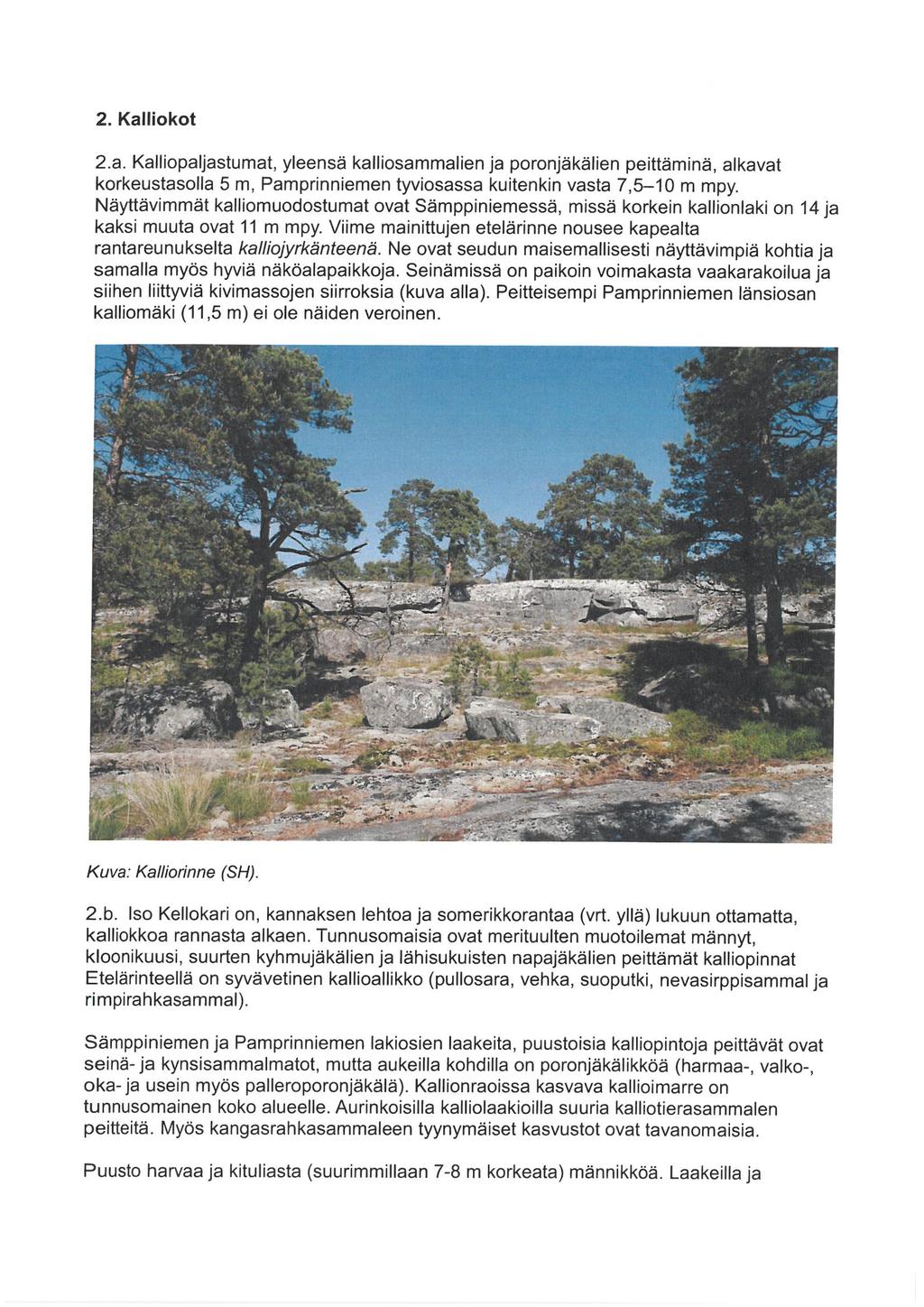 2. Kallioko* 2. a. Kalliopaljastumat, yleensä kalliosammalien Ja poronjäkälien peittäminä, alkavat korkeustasolla 5 m, Pamprinniemen tyviosassa kuitenkin vasta 7, 5-10 m mpy.