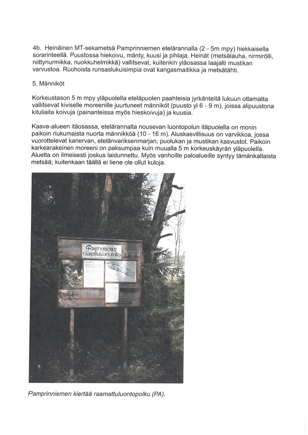 4b. Heinäinen MT-sekametsä Pamprinniemen etelärannalla (2-5m mpy) hiekkaisella sorarinteellä. Puustossa hiekoivu, mänty, kuusi Ja pihlaja.