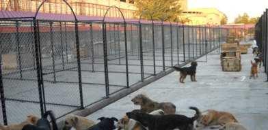 The second part of the new shelter of